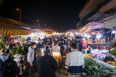 Giá hoa tăng nhẹ, chợ hoa đêm Quảng An tấp nập trước ngày 20/10