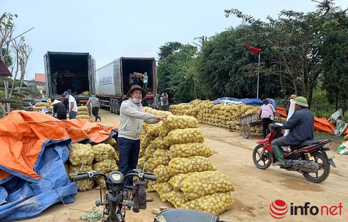 Lực đẩy giảm nghèo từ HTX nông nghiệp, đa dịch vụ ở Nghệ An