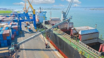 Cảng Chu Lai phát triển mạnh dịch vụ xuất khẩu hàng rời