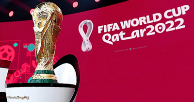 Du khách đến Qatar xem World Cup 2022 buộc phải cài ứng dụng 