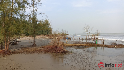 Thanh Hóa: Nước biển xâm thực sâu, hơn 15ha bờ bãi bị 'xóa sổ'