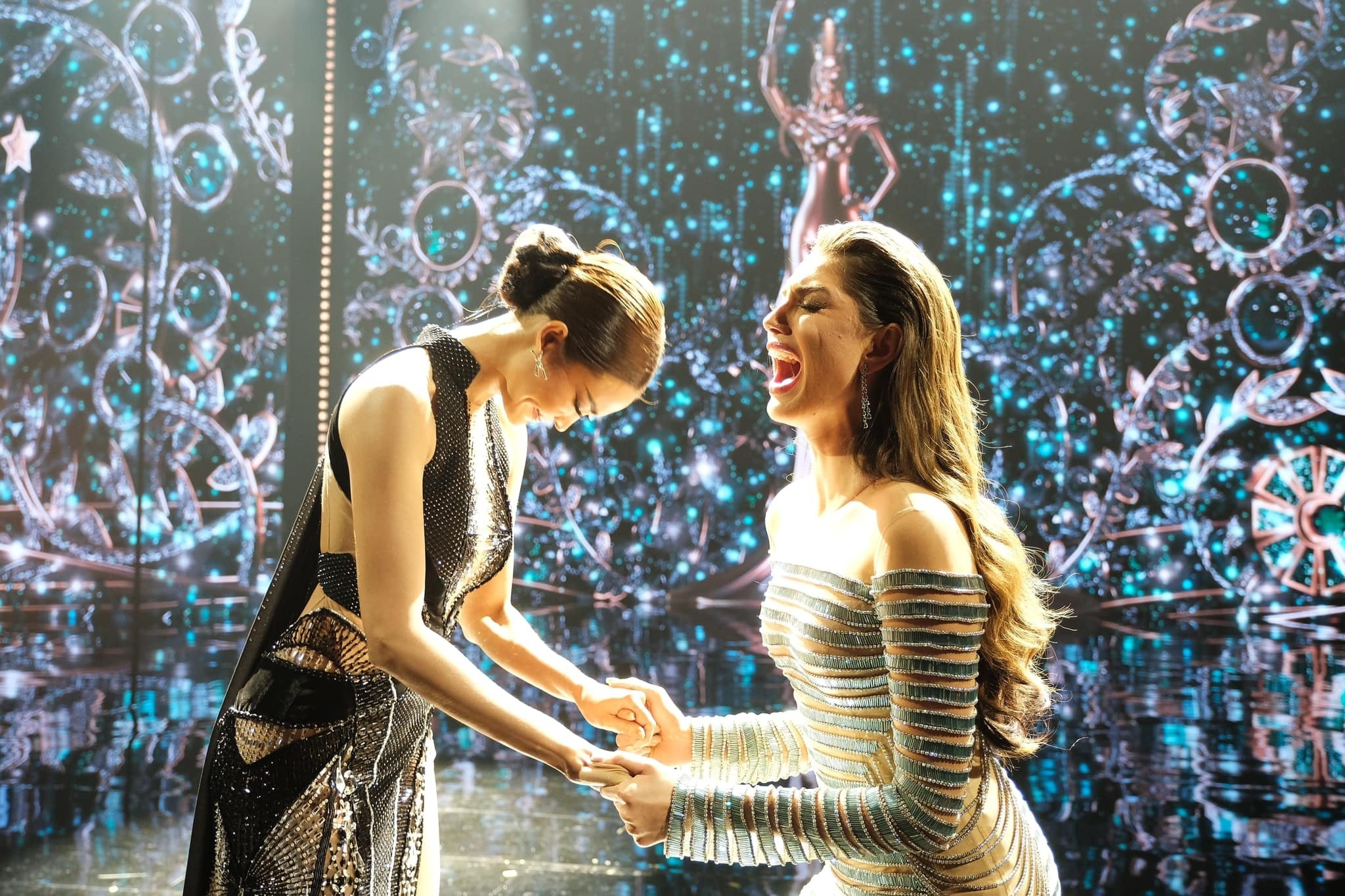 Hoa hau Hoa binh anh 1