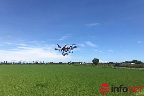 Quảng Trị: Lan tỏa chuyển đổi số ở hợp tác xã, đưa drone (UAV) vào sản xuất nông nghiệp