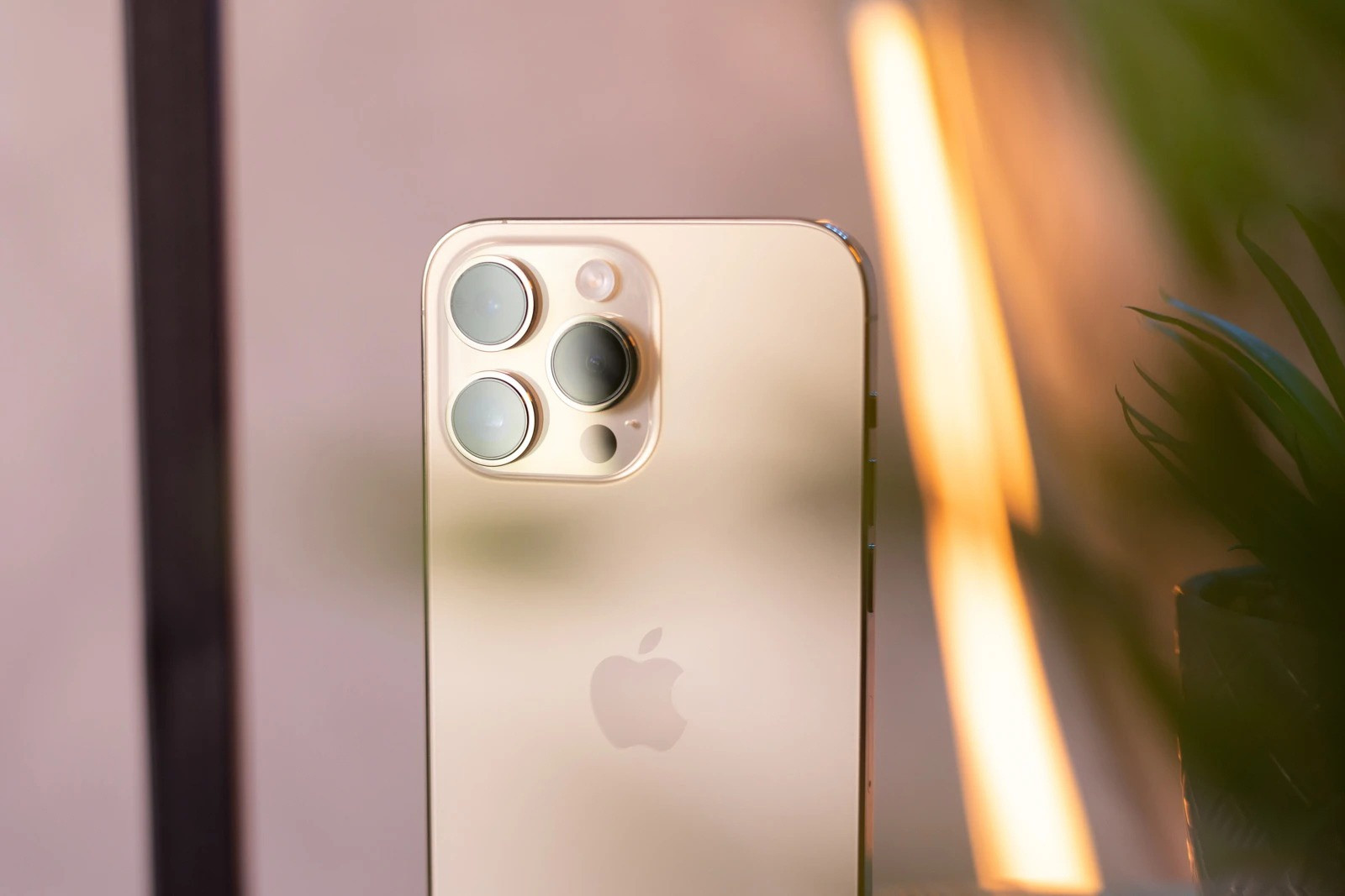 iPhone tang gia anh 1