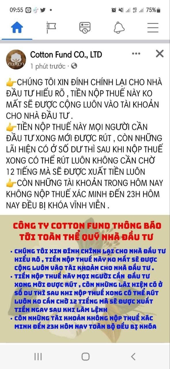 Vỡ mộng khi đầu tư vào Cotton fund lấy lãi cao hơn 300 lần lãi ngân hàng - 4