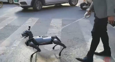 Mạng xã hội sôi sục trước xu hướng dắt chó robot đi dạo của giới trẻ