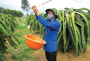 Đoàn viên, thanh niên Bình Thuận học cách chuyển đổi số, làm kinh tế số