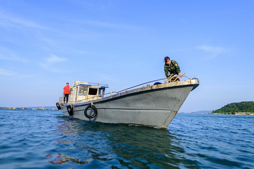 Trúng đậm cá cơm, ngư dân đảo Thanh Lân thu nhập chục triệu mỗi ngày