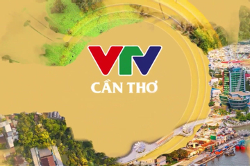 Xem VTV Cần Thơ trực tuyến ở đâu?