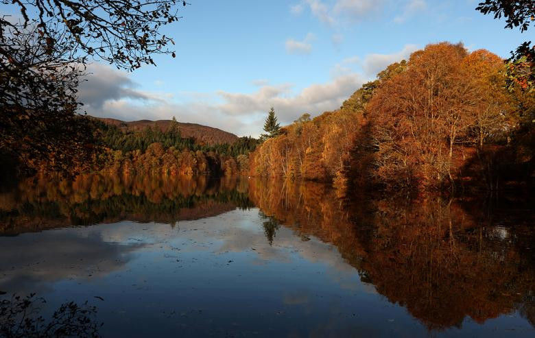 Những chiếc lá mùa thu được phản chiếu trên hồ Loch Faskally ở Pitlochry, Scotland.