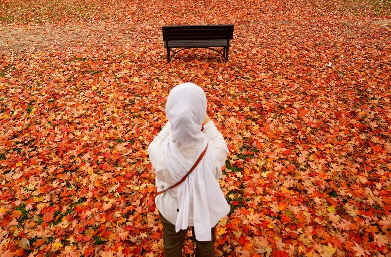 Người phụ nữ chụp ảnh màu sắc mùa thu sống động của những chiếc lá rụng tại National Mall ở Washington, Mỹ.