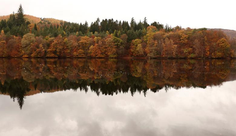 Những tán lá mùa thu được phản chiếu trên hồ Loch Faskally gần Pitlochry, Scotland.