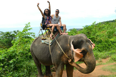 Đắk Lắk: Chấm dứt du lịch cưỡi voi, chuyển đổi sang mô hình du lịch thân thiện