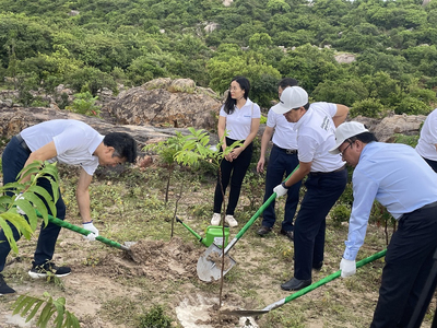 Trồng rừng “Sống khỏe góp xanh” tại Ninh Thuận mở đầu chiến dịch trồng cây ở 13 tỉnh thành
