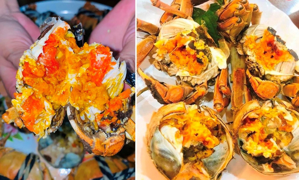 Loại cua đầy gạch, vàng ươm, món ăn nhà giàu bán giá bình dân khắp chợ mạng