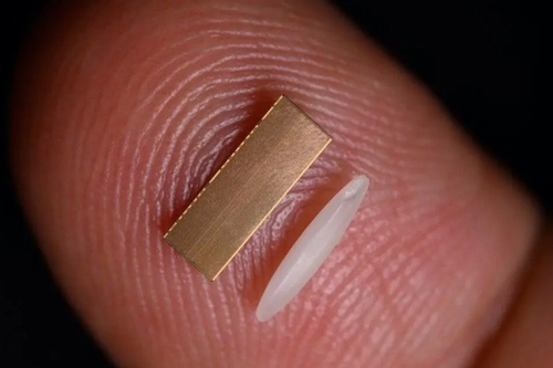 Đến lượt Nhật Bản tìm cách thoát ly bán dẫn Đài Loan