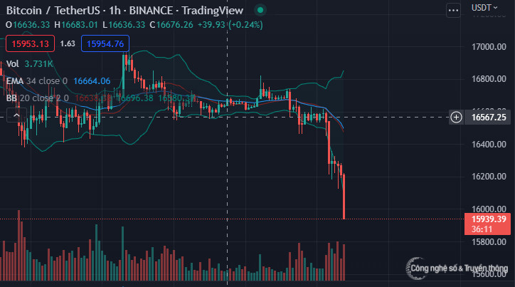 Giá Bitcoin giảm mạnh sáng đầu tuần do lo ngại bị quản lý