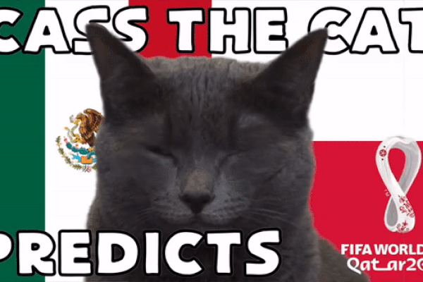 Dự đoán bóng đá World Cup 2022 trận Mexico vs Ba Lan với 'tiên tri mèo'