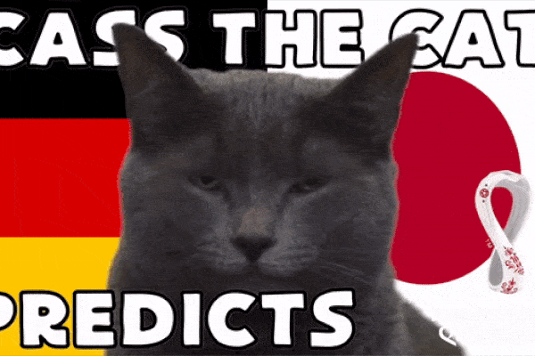 Dự đoán tỉ số World Cup 2022 trận Đức vs Nhật Bản với 'tiên tri mèo', đại bàng Romeo