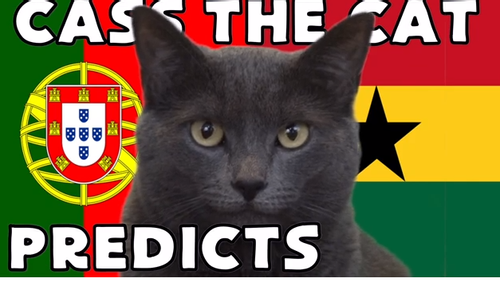 Dự đoán World Cup 2022 tỉ số trận Bồ Đào Nha vs Ghana với 'tiên tri mèo', 'thần rùa'