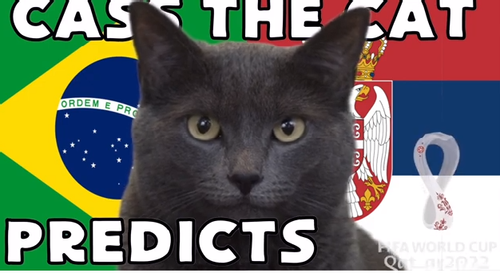 Dự đoán bóng đá World Cup 2022 tỉ số trận Brazil vs Serbia với 'tiên tri mèo'