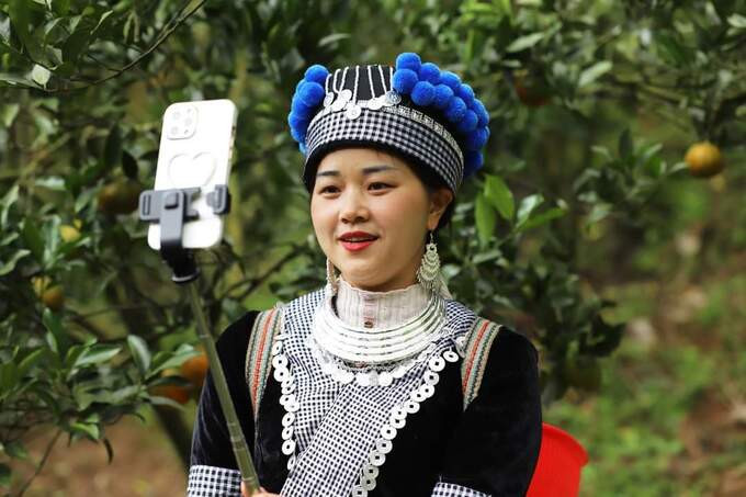 Ma Thị Chú trong buổi livestream bán hàng trực tiếp tại đồi quýt