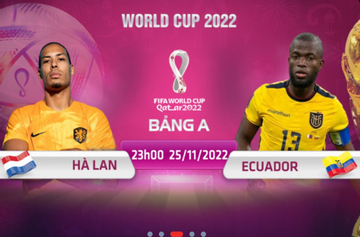 Địa chỉ xem trực tiếp World Cup 2022, Hà Lan vs Ecuador, 23h00 ngày 25/11