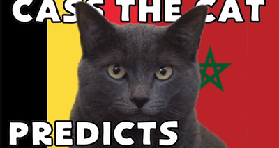 Dự đoán tỷ số Bỉ vs Maroc World Cup 2022 với 'tiên tri mèo' Cass