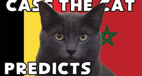 Dự đoán tỷ số Bỉ vs Maroc World Cup 2022 với 'tiên tri mèo' Cass