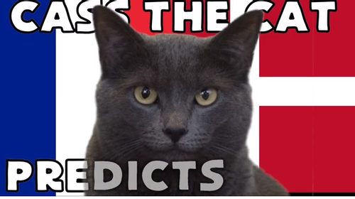 Dự đoán bóng đá World Cup 2022 tỉ số trận Pháp vs Đan Mạch với 'tiên tri mèo'