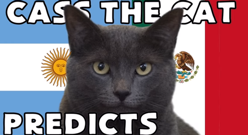 Dự đoán bóng đá World Cup 2022 tỉ số trận Argentina vs Mexico với 'tiên tri mèo'