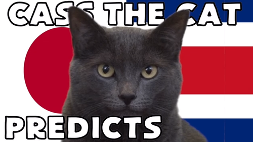 Dự đoán bóng đá World Cup 2022 tỷ số trận Nhật Bản vs Costa Rica với 'tiên tri mèo'