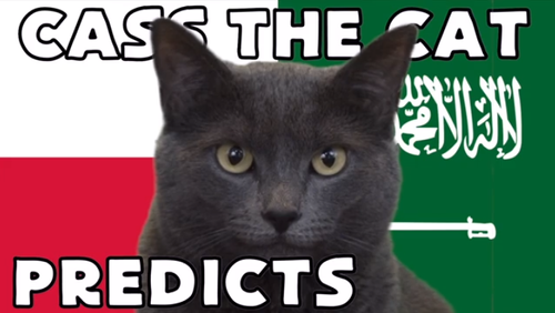 Dự đoán tỉ số World Cup 2022 trận Ba Lan vs Ả Rập Xê Út với 'tiên tri mèo'