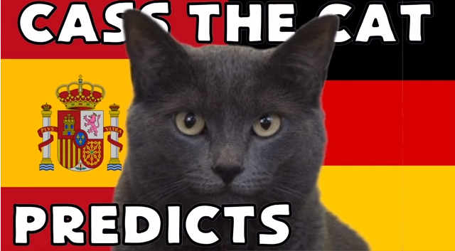 Dự đoán tỷ số World Cup 2022 trận Tây Ban Nha vs Đức với 'tiên tri mèo'