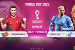 Địa chỉ xem trực tiếp World Cup 2022, Bồ Đào Nha vs Uruguay, 2h00 ngày 29/11