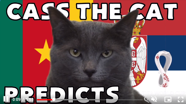Dự đoán tỷ số World Cup 2022 Cameroon vs Serbia với 'tiên tri mèo'