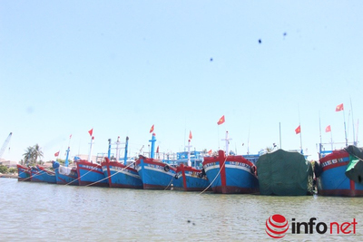 Quảng Nam: Đầu tư 15 tỷ đồng xây dựng khu neo đậu tàu cá