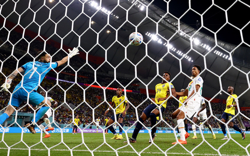 Kết quả trận Ecuador vs Senegal bảng A bóng đá World Cup 2022 ngày 29/11