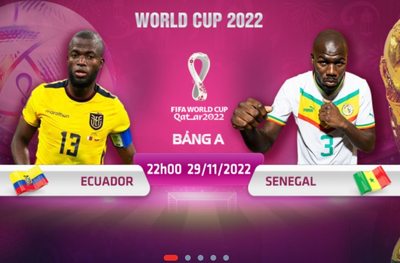Địa chỉ xem trực tiếp World Cup 2022, Ecuador vs Senegal, 22h00 ngày 29/11