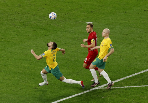 Cập nhật kết quả trận Australia vs Đan Mạch bảng D bóng đá World Cup 2022 ngày 30/11