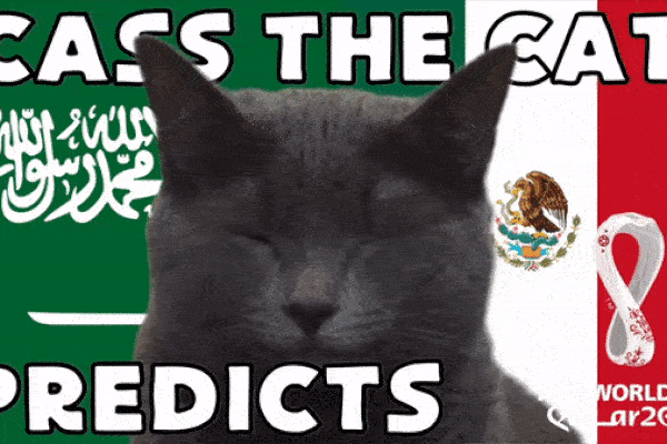 Dự đoán bóng đá World Cup 2022 trận Ả Rập Xê Út vs Mexico với mèo 'tiên tri'