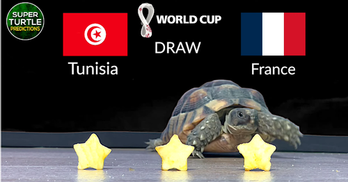 Dự đoán bóng đá World Cup 2022 trận Tunisia vs Pháp với 'thần rùa'