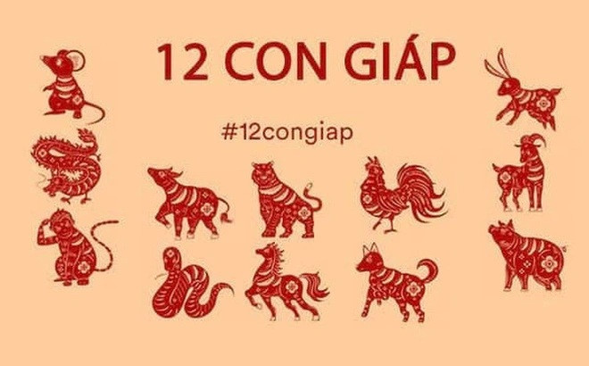 Tử vi tuần mới 12 con giáp từ ngày 7/11-13/11/2022: Thân, Tý, Thìn may mắn, thuận lợi
