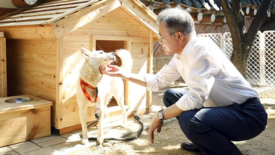Cựu tổng thống Hàn Quốc trả lại chó quý do ông Kim Jong-un tặng