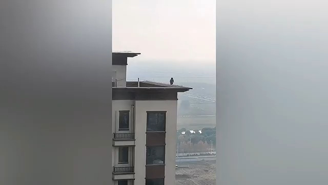 ‘Rợn tóc gáy’ nhìn đứa trẻ vô tư đi lại trên bờ tường tầng 28 chung cư