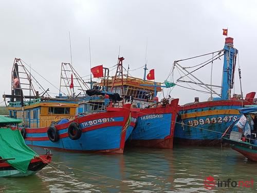 Hà Tĩnh không có tàu vi phạm đánh bắt hải sản ở vùng biển nước ngoài