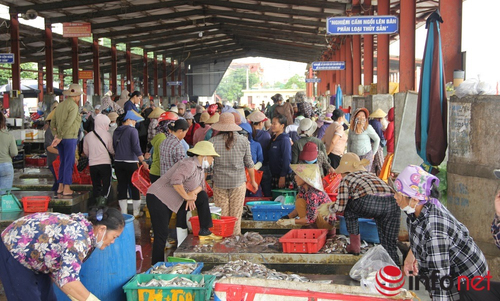 Nghệ An: Tập huấn an toàn thực phẩm thuỷ sản cho ngư dân khai thác trên biển