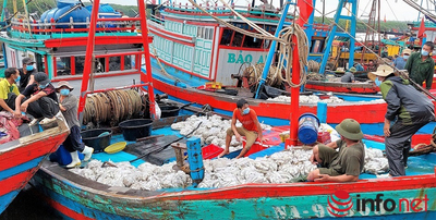 Nghệ An: Thách thức nghề biển