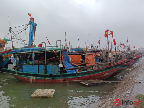 100% tàu cá Hà Tĩnh được cấp giấy phép khai thác thủy sản