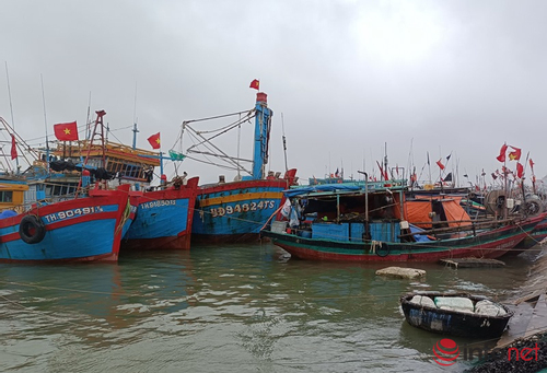 Nỗ lực truy xuất nguồn gốc thuỷ sản tại cảng cá